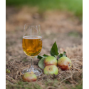 Cidre